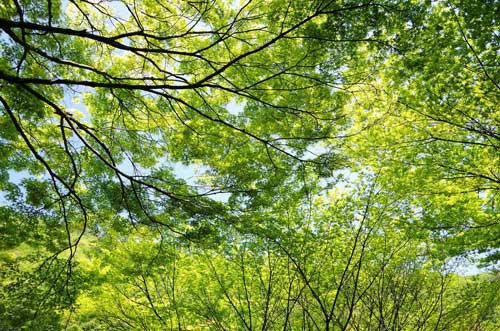 自分が嫌い5:自分がわからない